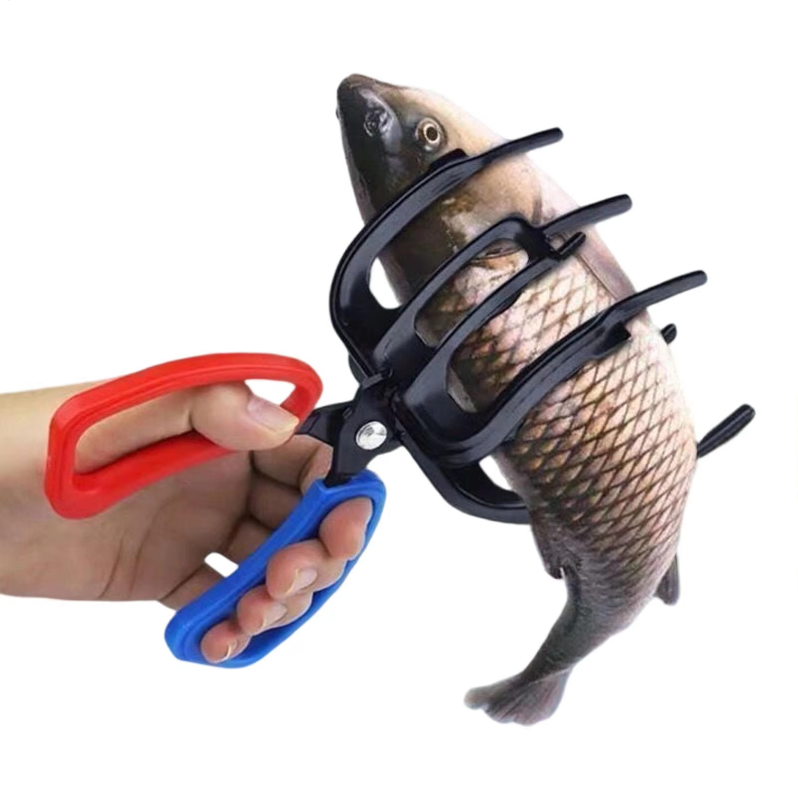 Img